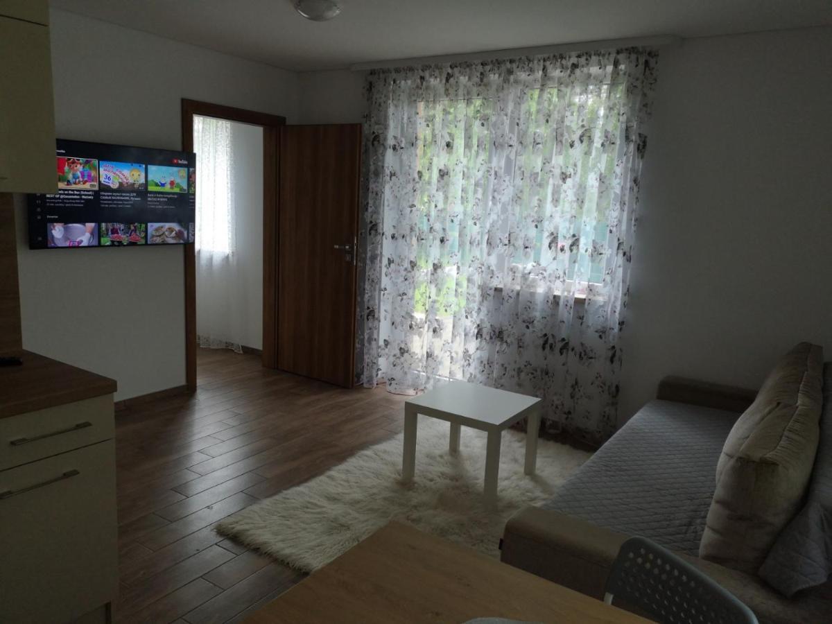 Kristinos Apartment Друскининкай Экстерьер фото