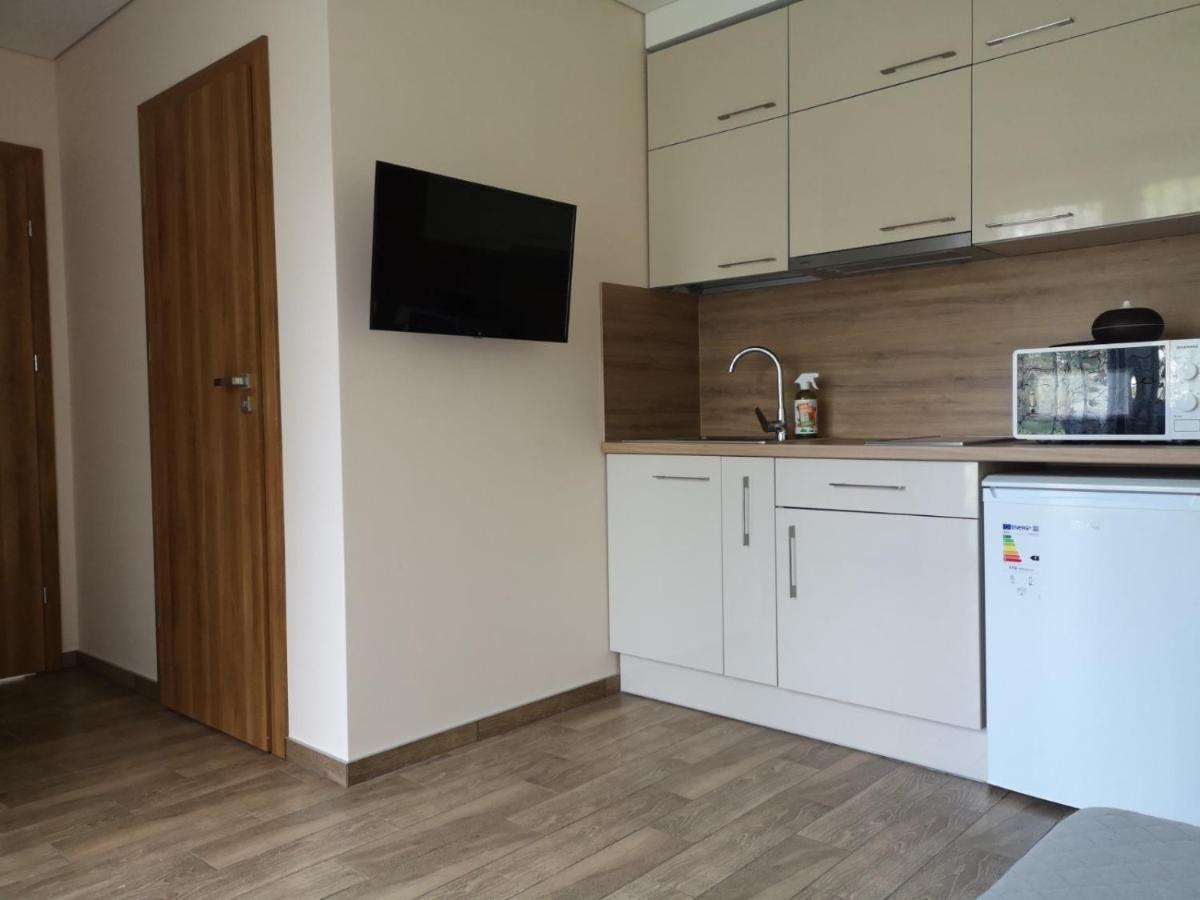 Kristinos Apartment Друскининкай Экстерьер фото