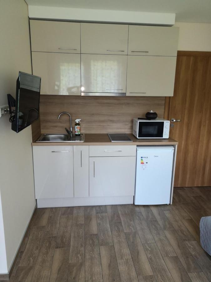 Kristinos Apartment Друскининкай Экстерьер фото